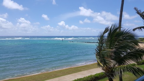 Our View in Kauai